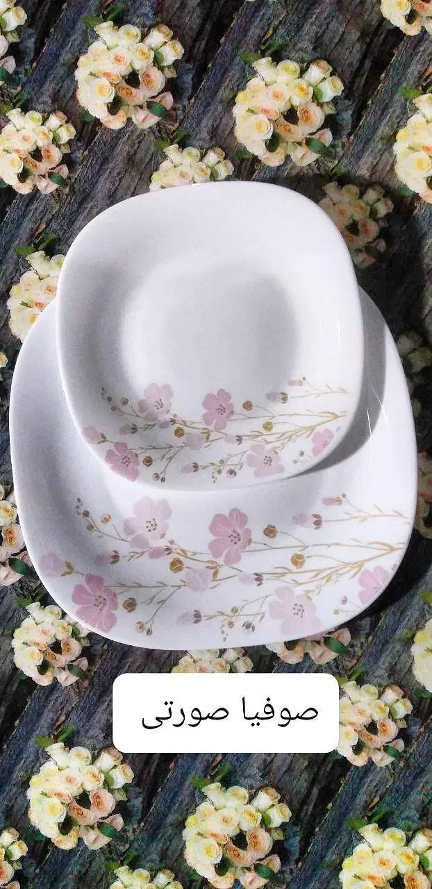 ارکوپال ۲۶ پارچه دینو|ظروف سرو و پذیرایی|منجوان, |دیوار