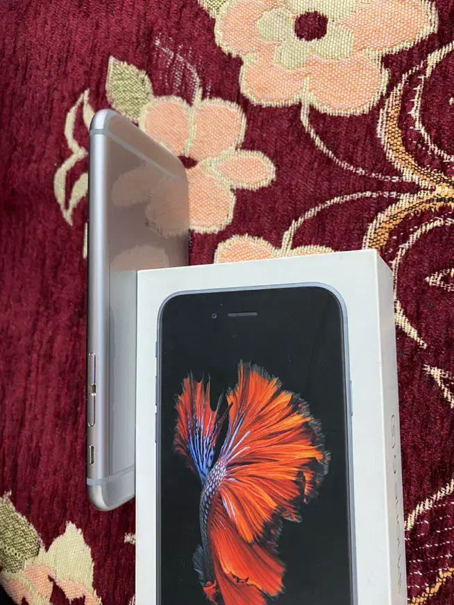 Iphone 6s نو|موبایل|شیراز, فضل‌آباد|دیوار