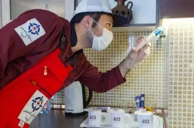 شرکت سمپاشی آریا سم پاشی سوسک ساس کنه(سراسر مشهد)|خدمات نظافت|مشهد, وکیل‌آباد|دیوار