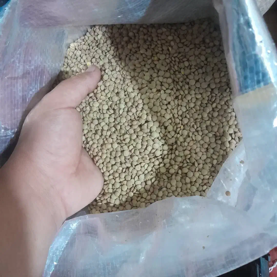 حبوبات|خوردنی و آشامیدنی|مرودشت, ژیان|دیوار