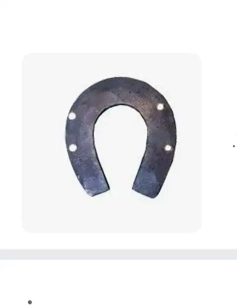 نعل اسب|اسب و تجهیزات اسب‌سواری|سبزوار, قاضی زاد|دیوار