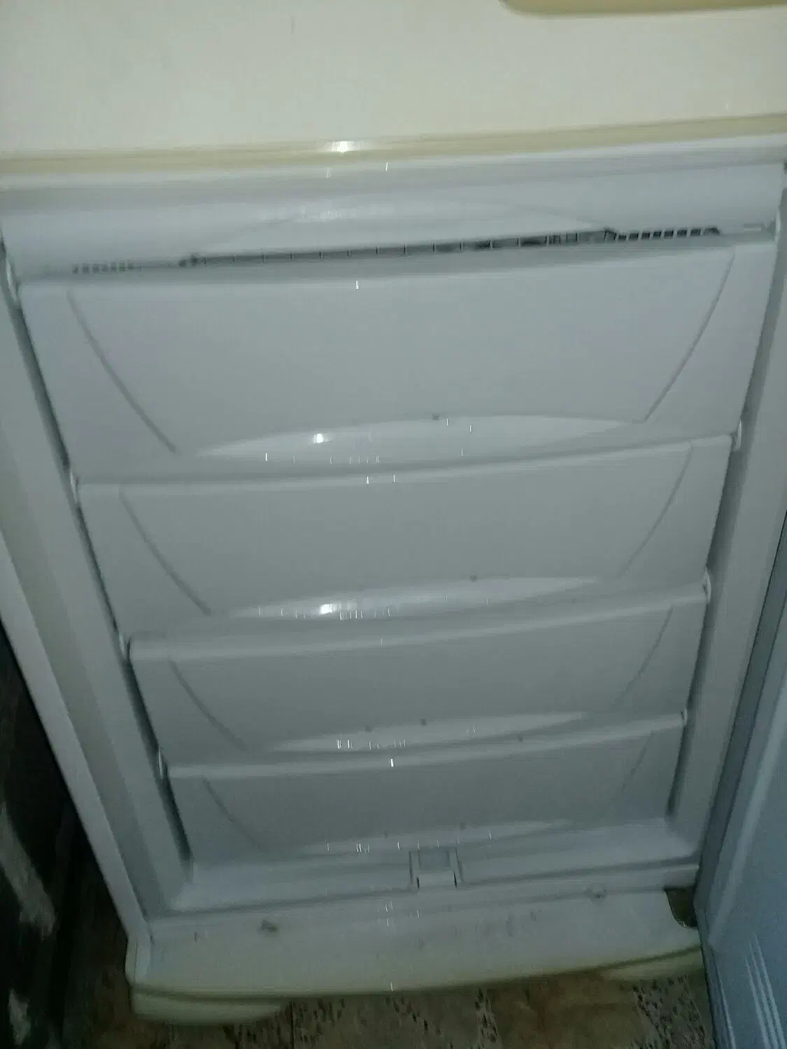 یخچال|یخچال و فریزر|رشت, فلسطین|دیوار