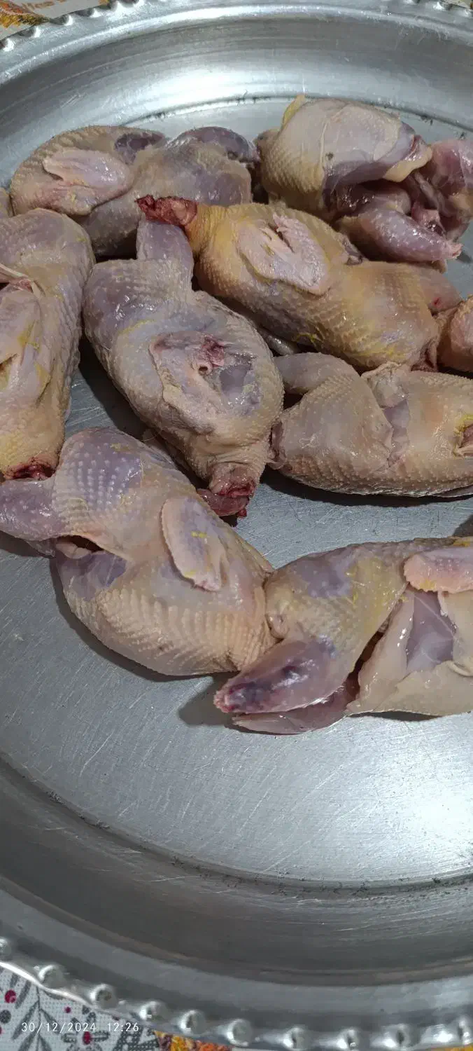 فروش بلدرچین وتخم بلدرچین|حیوانات مزرعه|سیاهکل, |دیوار