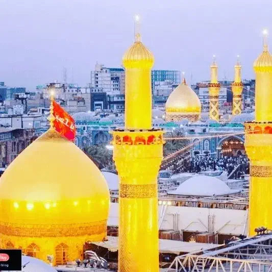 کاروان کربلا معلا ۵ و۱۵ و۲۵اذر هتل ۷روزه|تور و چارتر|بوشهر, |دیوار