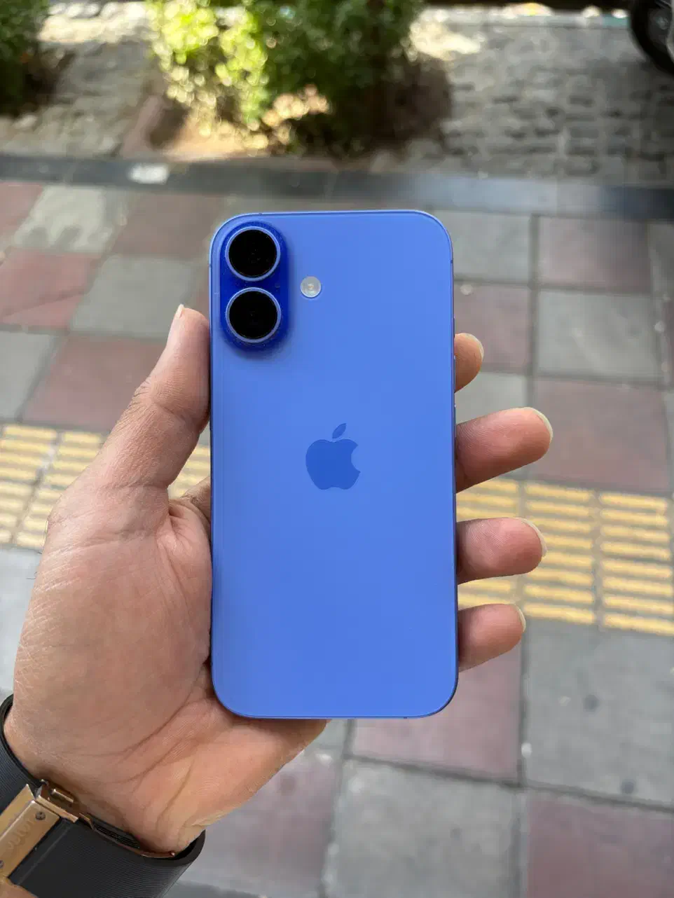 ایفون16نرمال|موبایل|تهران, درختی|دیوار