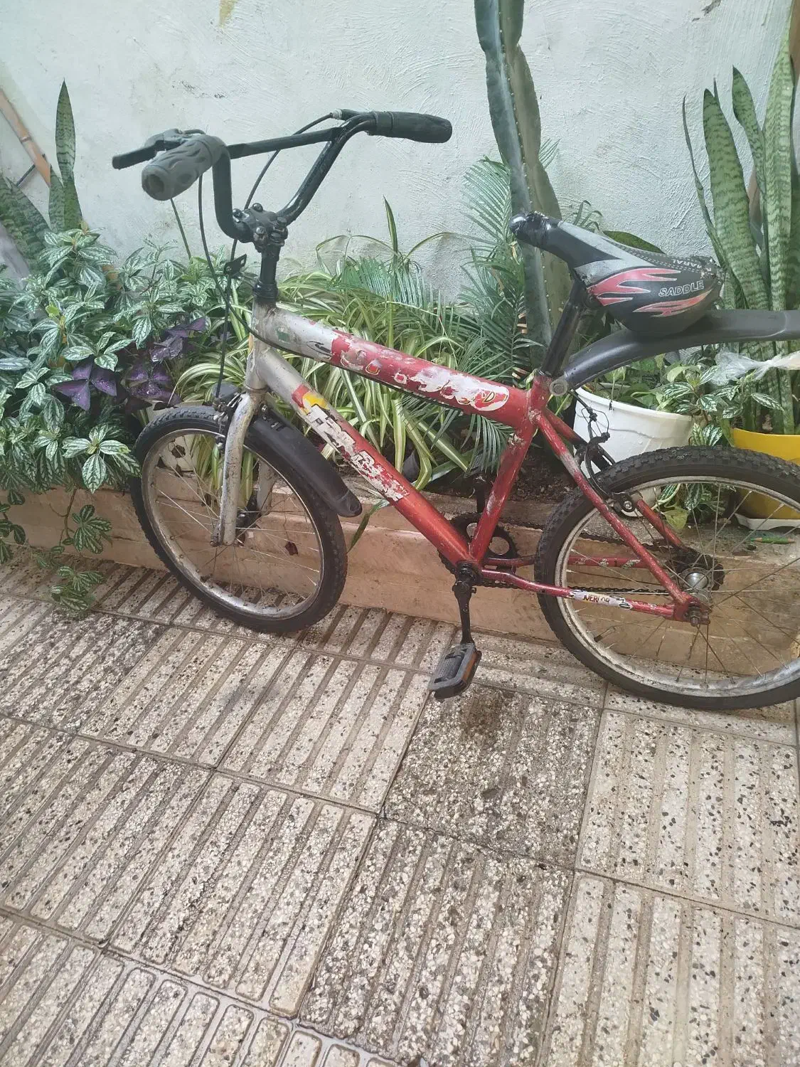 دوچرخه سایز20|دوچرخه، اسکیت، اسکوتر|بابل, |دیوار