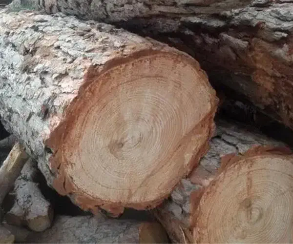 خرید و فروش چوب|عمدهفروشی|تهران, جوادیه تهرانپارس|دیوار