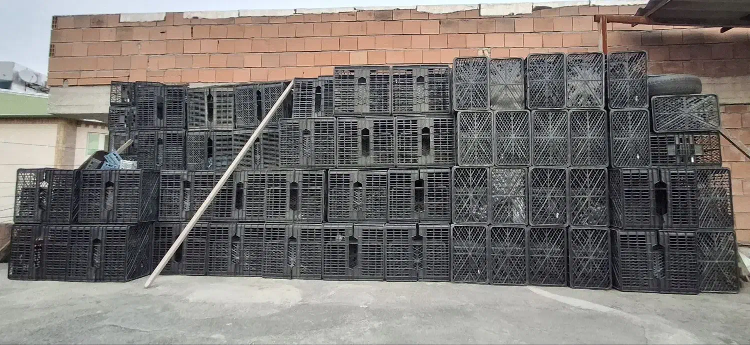 سبد|ظروف نگهدارنده، پلاستیکی، یکبارمصرف|ساری, |دیوار