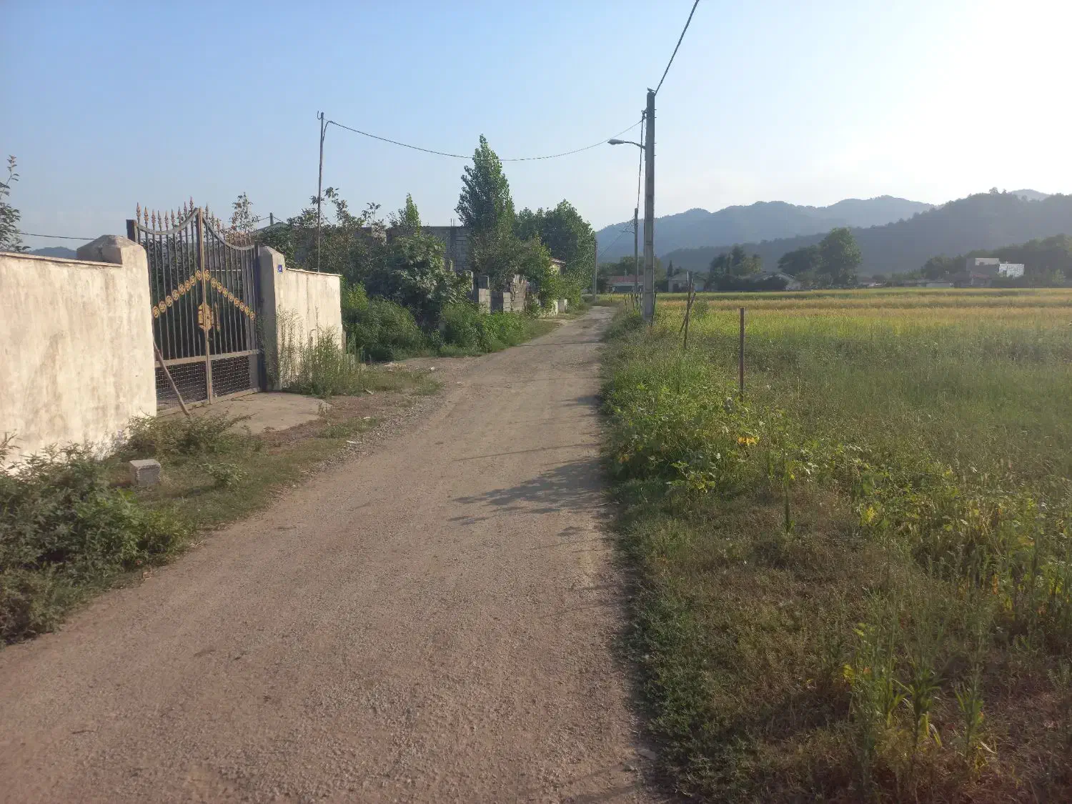 فروش ۲۰۰۰ متر زمین داخل طرح چسبیده به مسکونی|فروش زمین و ملک کلنگی|پره‌سر, |دیوار