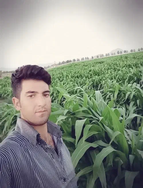 فروش یا اجاره جهت ساخت ویلا یا گلخانه یا کشت صیفی|فروش دفتر صنعتی، کشاورزی، تجاری|لنجان, |دیوار