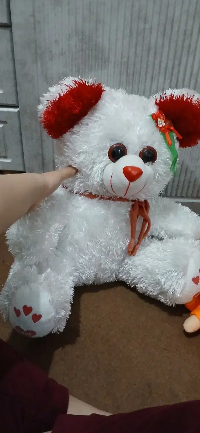 ولنتاینی|اسباب‌‌بازی|قم, نیروگاه|دیوار