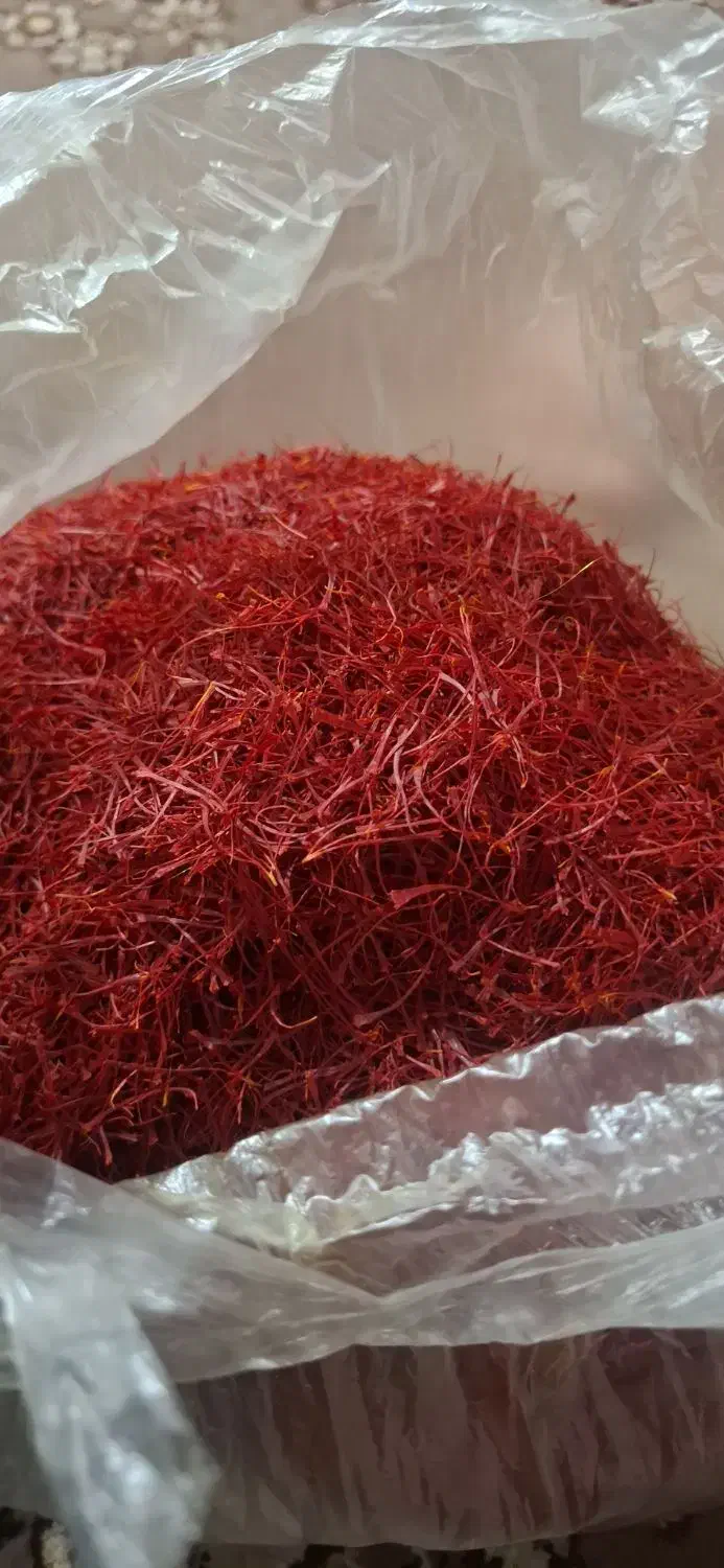 زعفران نگین|عمدهفروشی|تربت جام, میان جام|دیوار