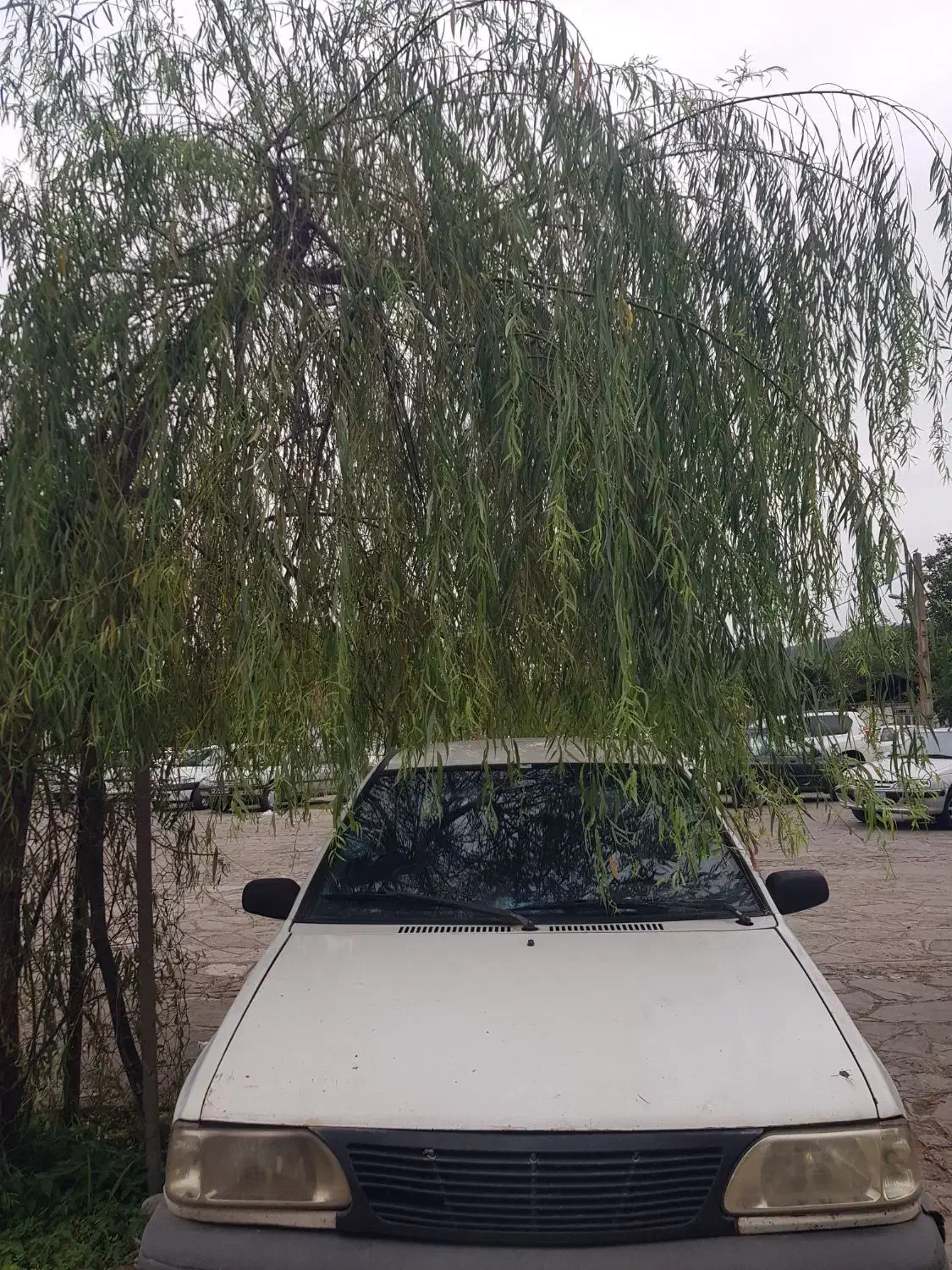 پراید ۸۲|خودرو سواری و وانت|ماسال, |دیوار