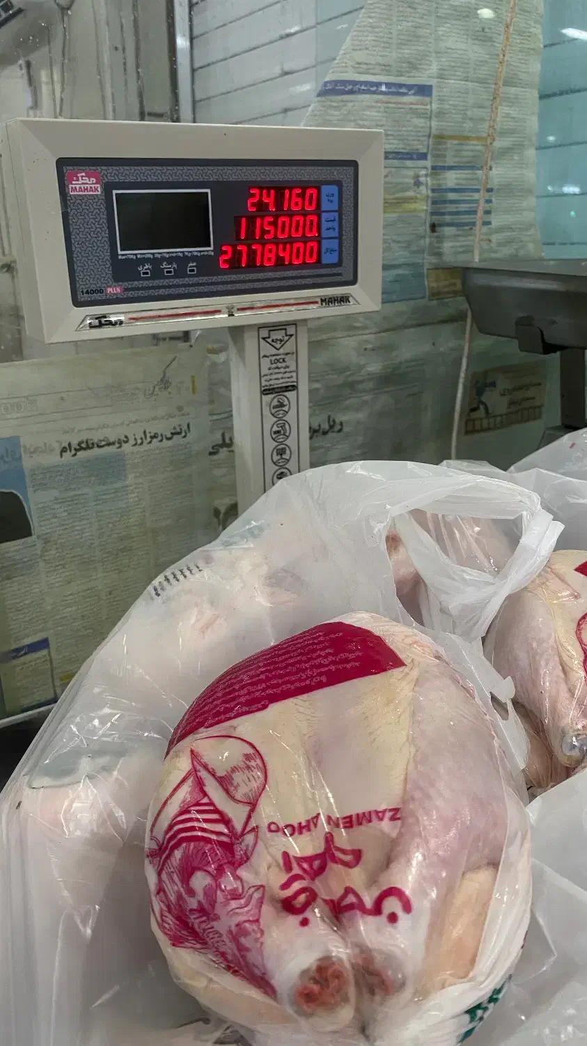 مرغ گرم عمده|خوردنی و آشامیدنی|بوشهر, |دیوار