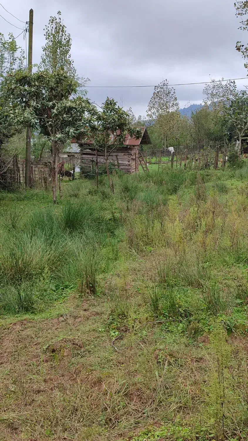 200 متر زمین مسکونی کوهپایه الیان|فروش زمین و ملک کلنگی|ماکلوان, |دیوار