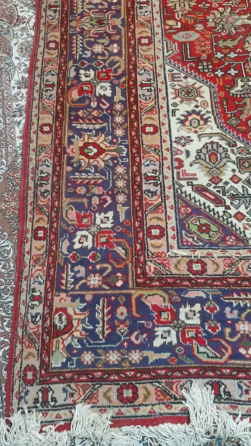 فرش دستباف|فرش|شیراز, شهرک گلستان|دیوار