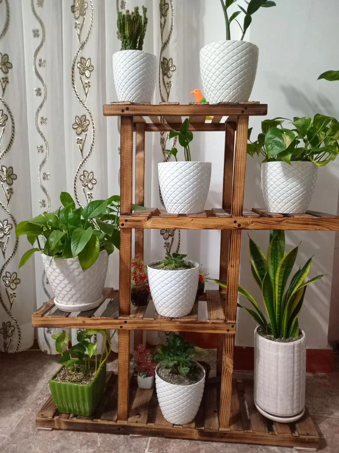 استند گل سالم تمیز|کتابخانه، شلف، قفسههای دیواری|لاهیجان, لاشیدان|دیوار