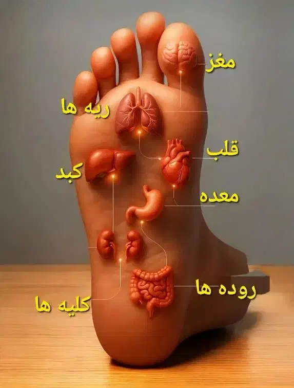 دوره تخصصی سوجوک تراپی|خدمات آموزشی|مشهد, شاهد (شهرک غرب)|دیوار