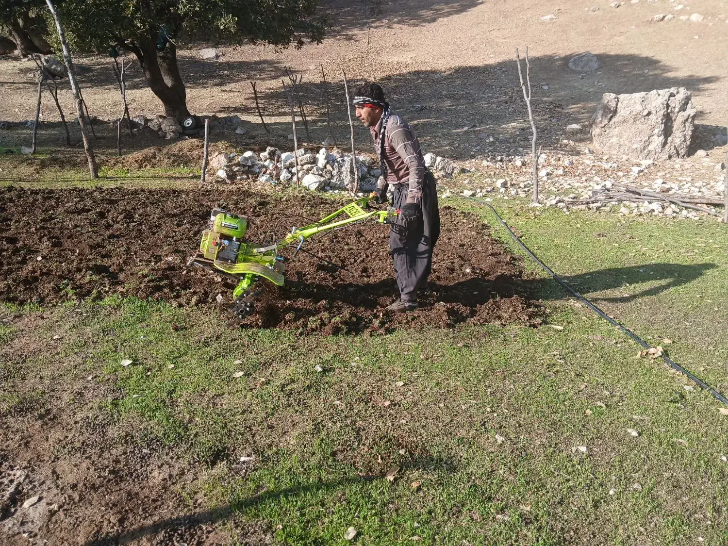 شخم زدن باغ و دور درختان|خدمات باغبانی و درختکاری|دورود, |دیوار