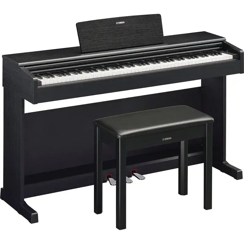 کد۸۸۷۸  Ydp145 Yamaha|پیانو، کیبورد، آکاردئون|تهران, آبشار|دیوار