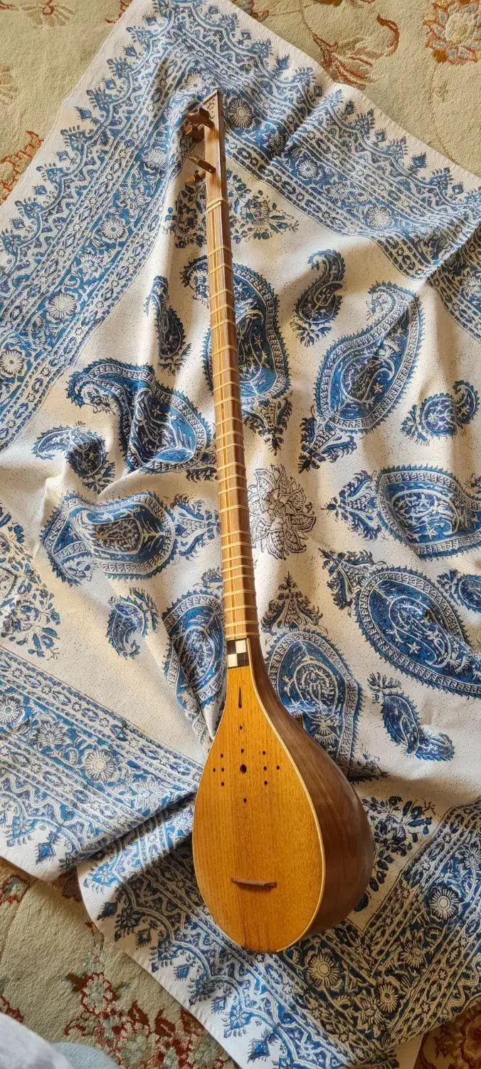 سه‌تار استاد پژمان همراه هاردکیس و هدیه|سازهای سنتی|اصفهان, ملک‌شهر|دیوار