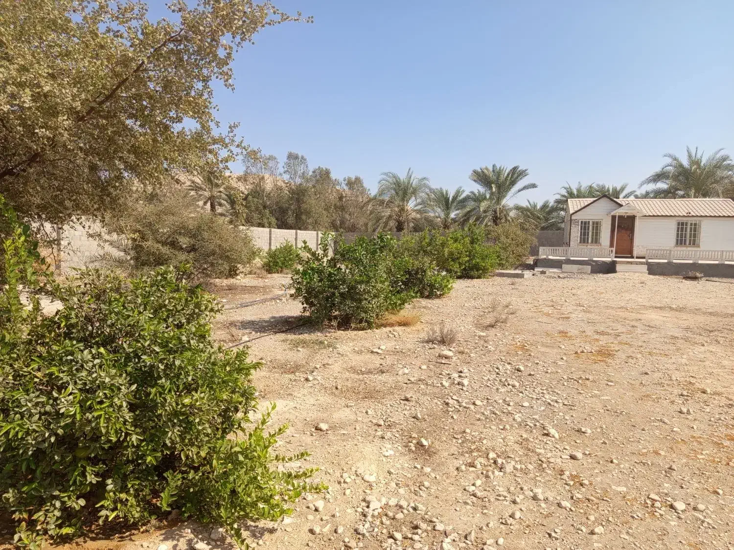 خانه باغ فروشی|فروش زمین و ملک کلنگی|جم, |دیوار