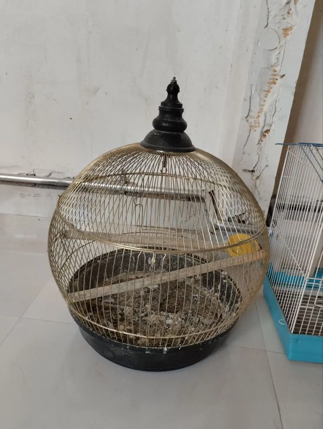 قفس|لوازم جانبی حیوانات|مشگین شهر, |دیوار