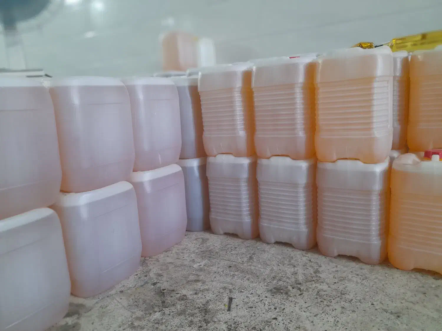 آفتاب گردون عمده|خوردنی و آشامیدنی|رشت, جماران|دیوار