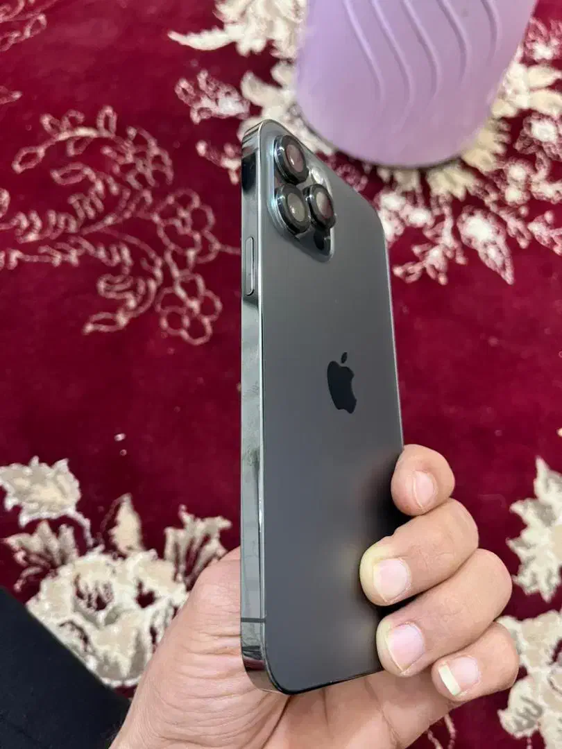 اپل iPhone 12 Pro Max با حافظهٔ ۲۵۶ گیگابایت|موبایل|شوش, |دیوار