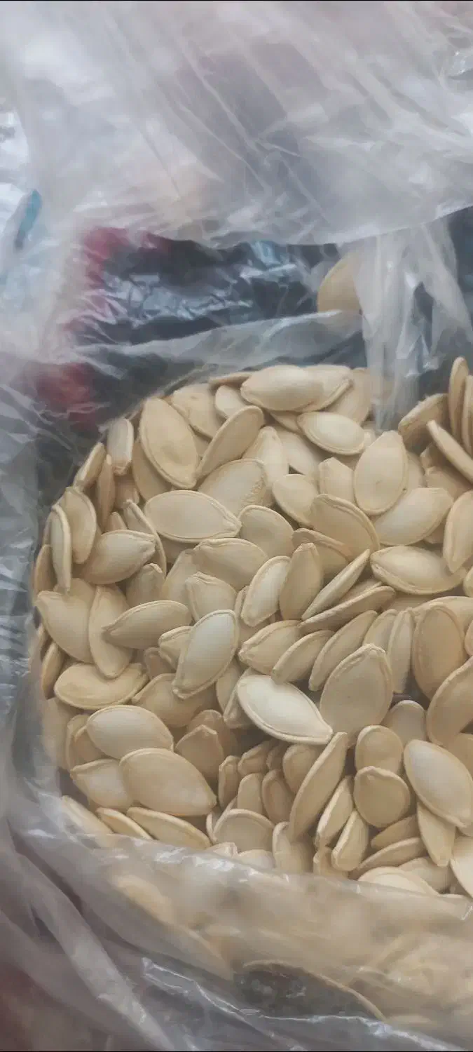 تخمه کدو|خوردنی و آشامیدنی|شیراز, ده پیاله|دیوار