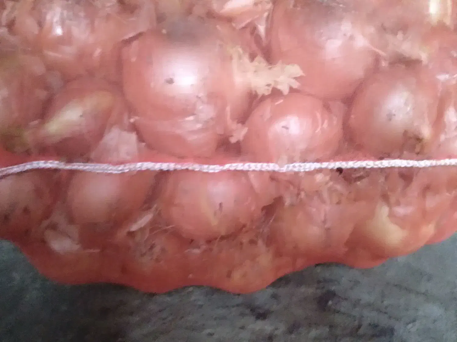 پیاز|خوردنی و آشامیدنی|گوگان, |دیوار