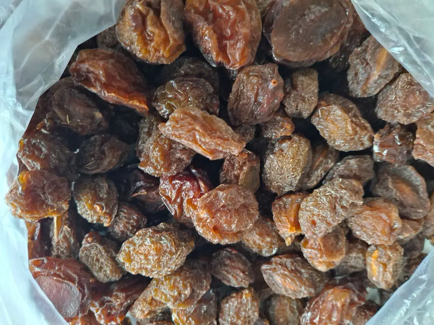 الو|خوردنی و آشامیدنی|بجنورد, |دیوار