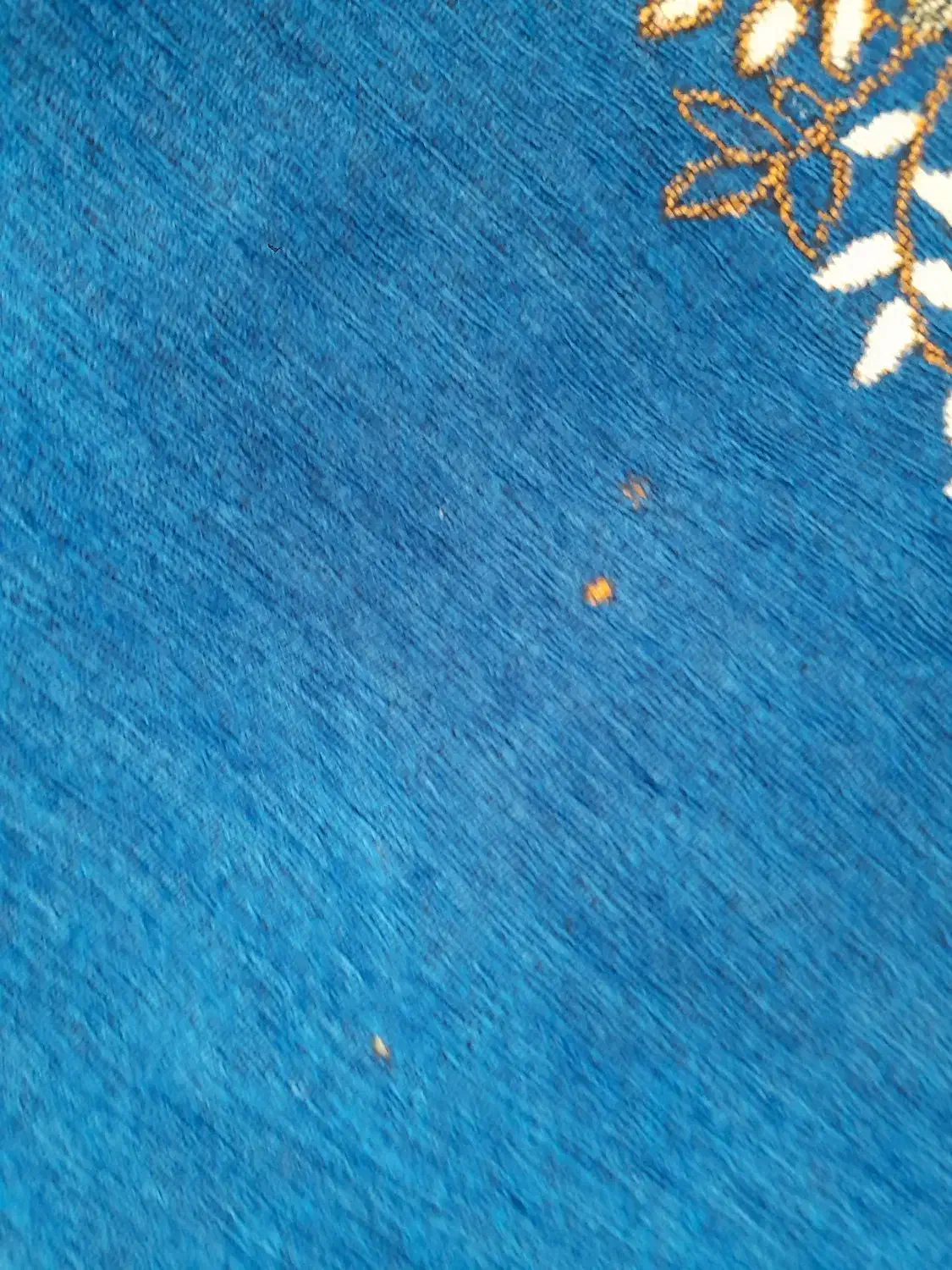 روفرشی ۶ متری|روفرشی|اشترینان, |دیوار