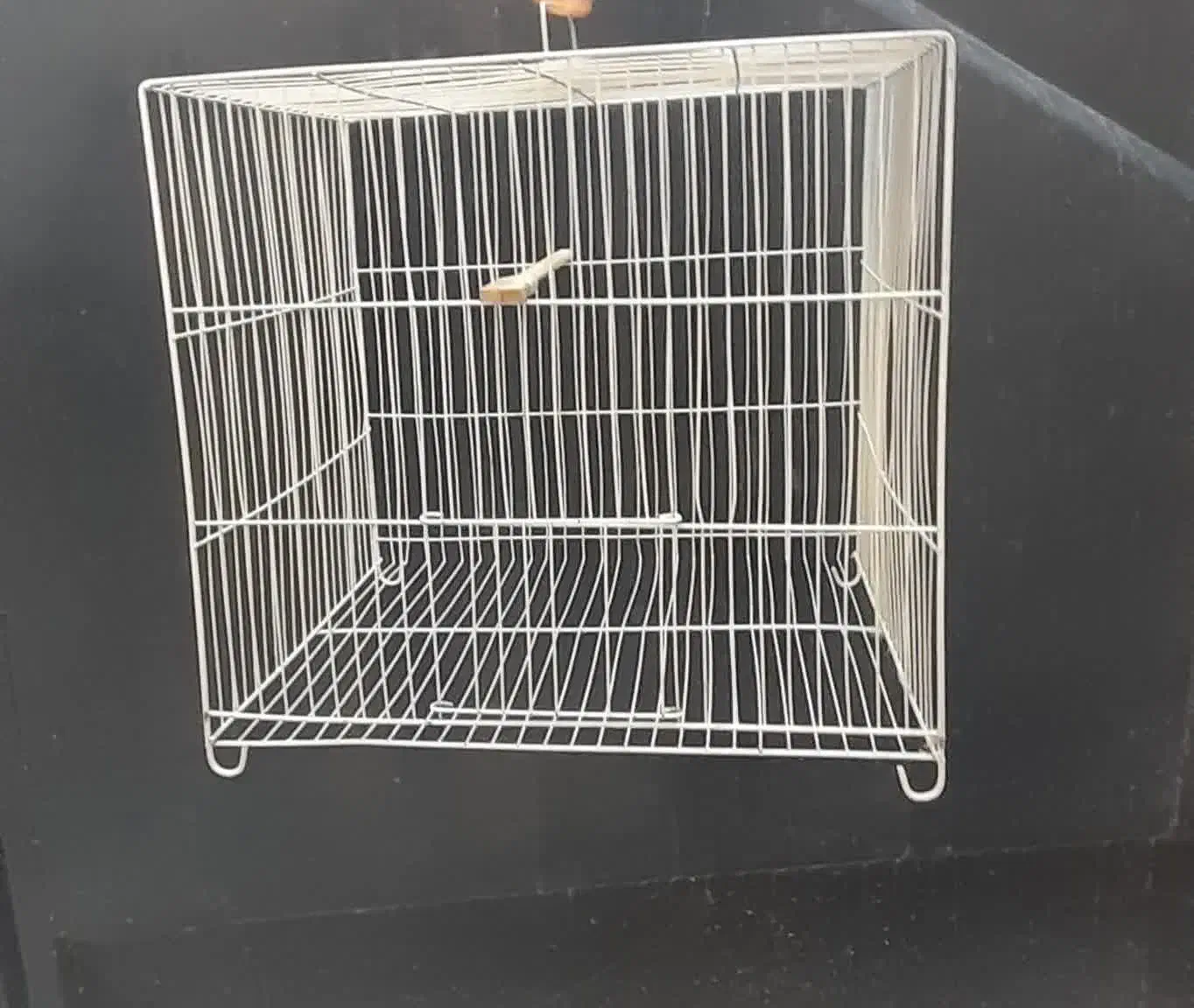 ۳ عددقفس پرنده|لوازم جانبی حیوانات|قائمشهر, |دیوار
