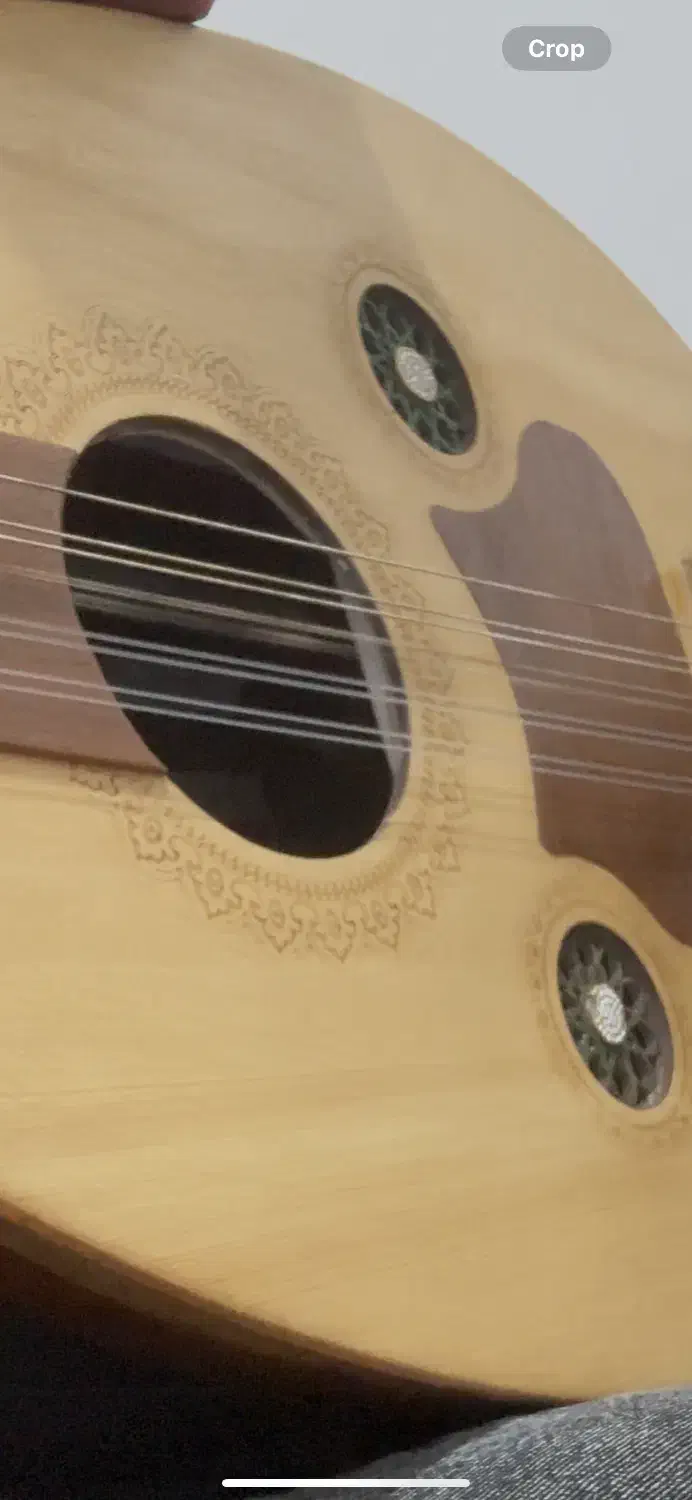 نریمان ترک|سازهای سنتی|میناب, |دیوار