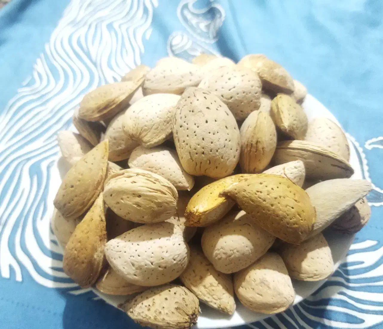 بادام شیرین درجه یک درشت وپرمغزباضمانت|خوردنی و آشامیدنی|قهستان, |دیوار