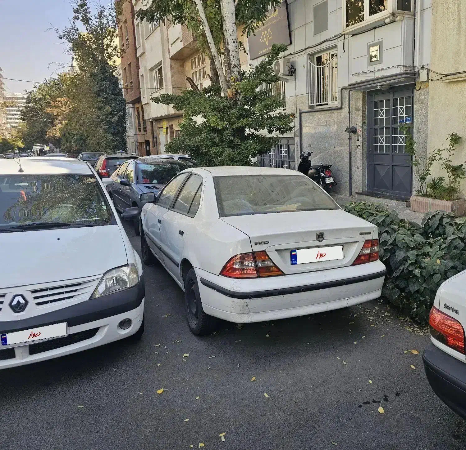 سمند se مدل ۹۱|خودرو سواری و وانت|تهران, دریا|دیوار