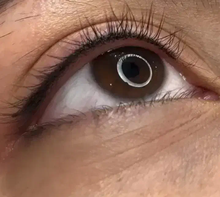 تخفیفات ویژه تتوصورت واسکالپ سر|خدمات آرایشگری و زیبایی|تربتحیدریه, اندیشه|دیوار