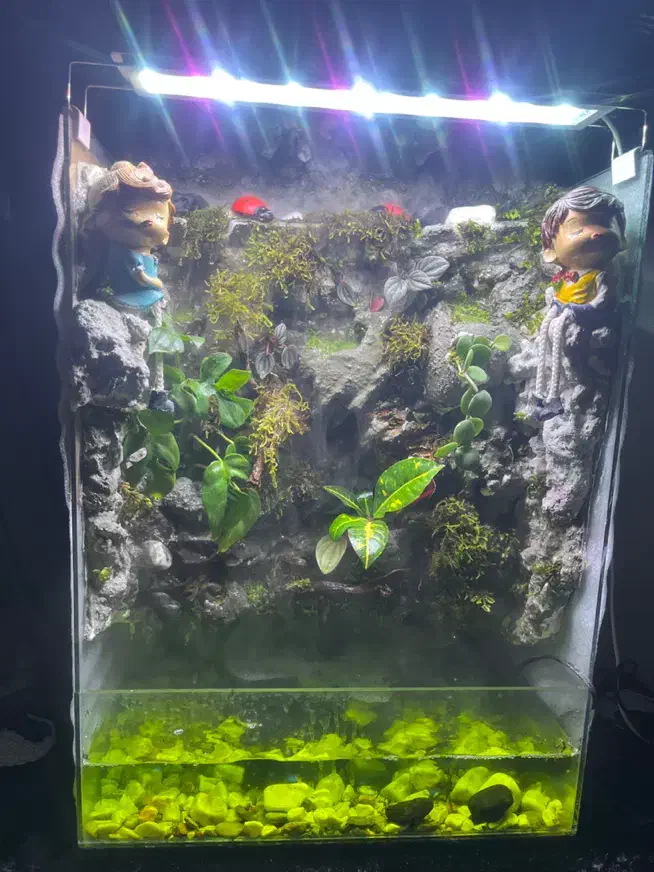 آکواریوم|ماهی|تهران, آهنگ|دیوار