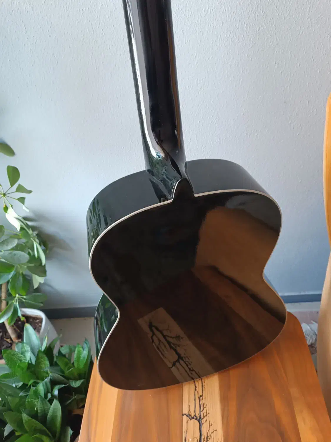 گیتار|گیتار، بیس، امپلیفایر|بندرعباس, |دیوار