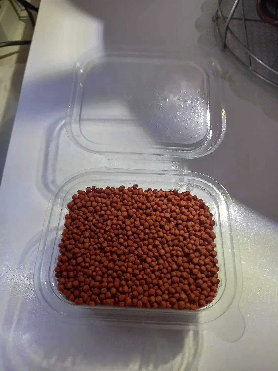 غذای رنگ ماهی|ماهی|سهند, |دیوار