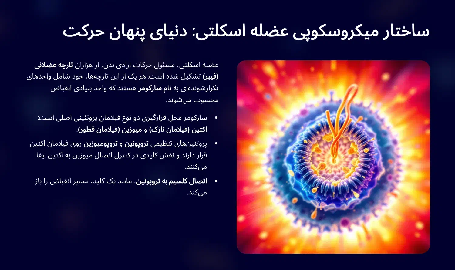 طراحی حرفه ای پاورپوینت|خدمات آموزشی|قم, پردیسان|دیوار