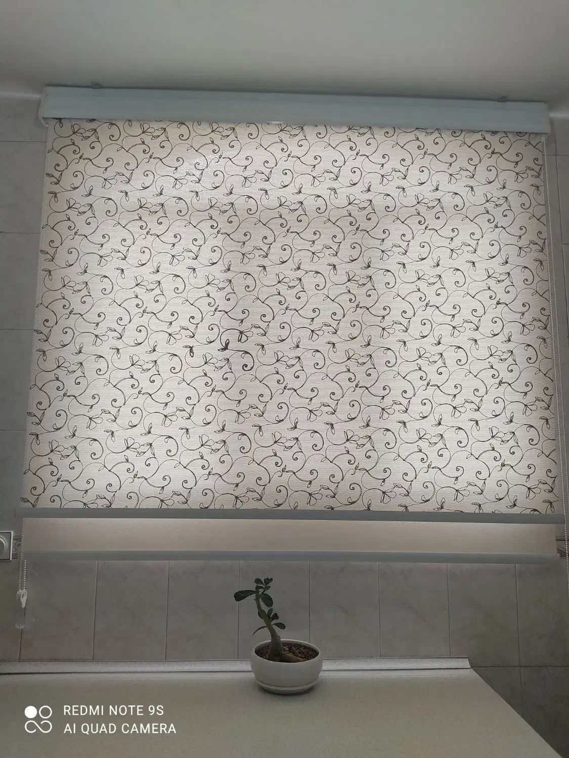 پرده|پرده، رانر، رومیزی|شاهرود, |دیوار