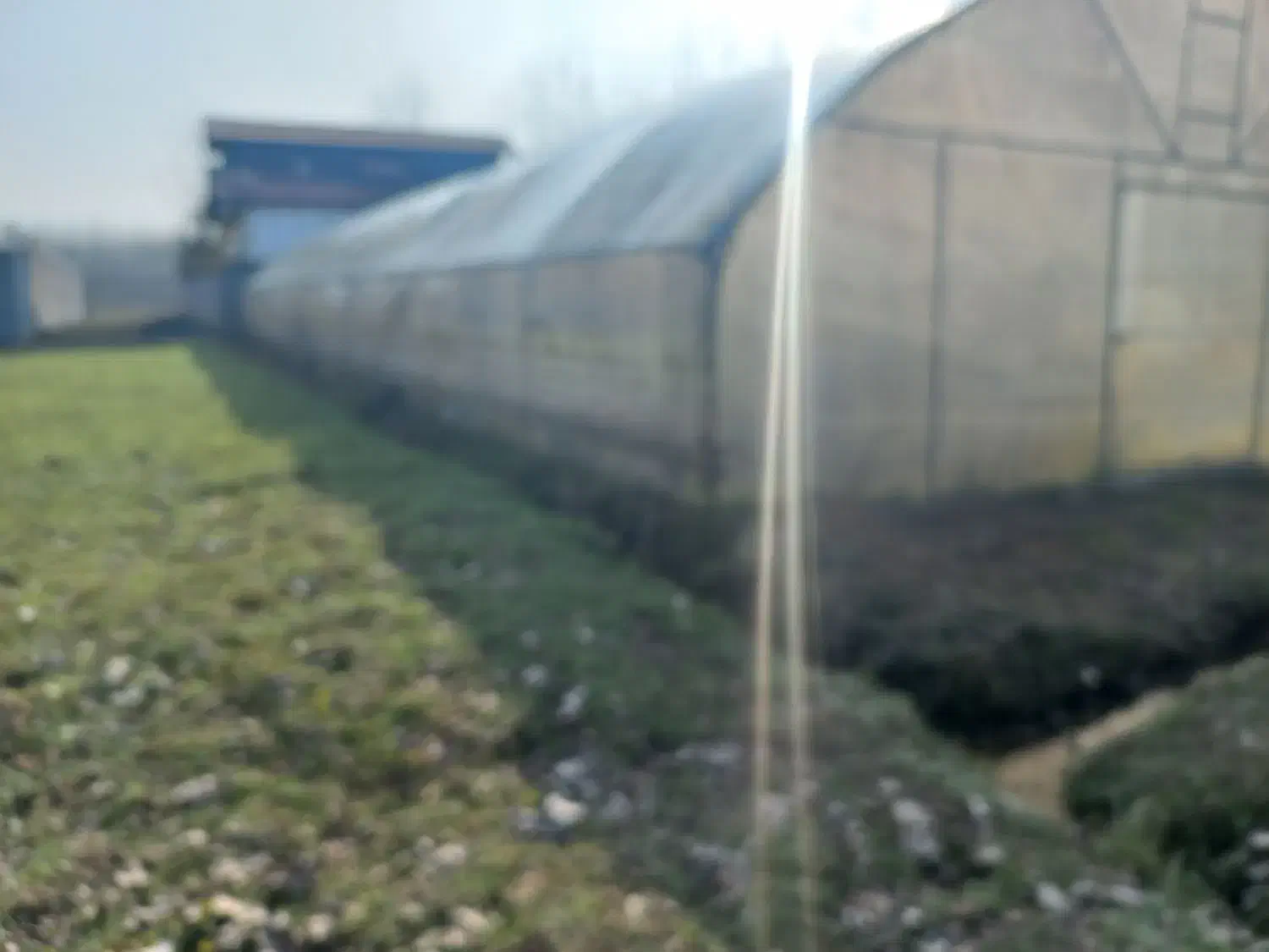 فروش گلخانه دست دوم|فروش دفتر صنعتی، کشاورزی، تجاری|صومعهسرا, |دیوار