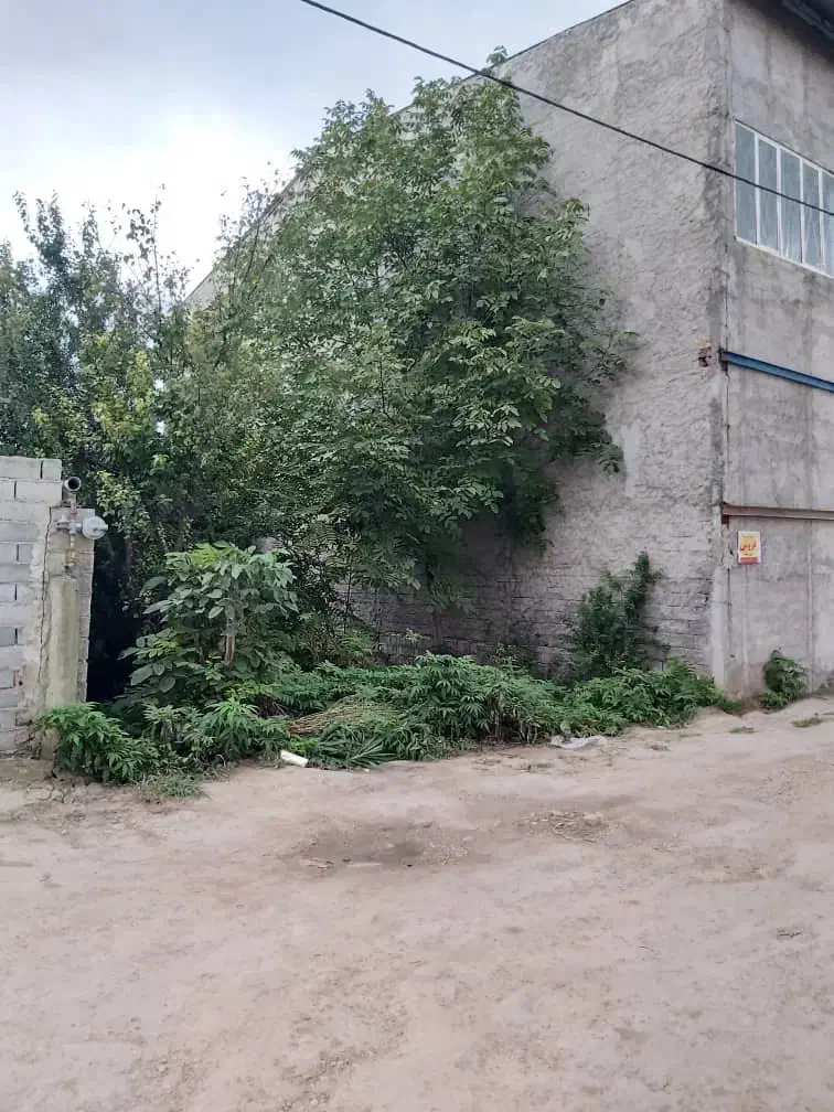 فروش زمین به مساحت ۱۷۲ متر فوری فوری به علت مهاجرت|فروش زمین و ملک کلنگی|ساری, |دیوار