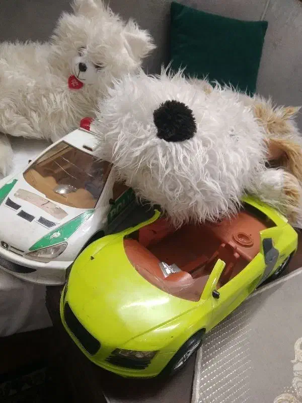 عروسک|اسباب‌بازی بچه|مشهد, فاطمیه|دیوار