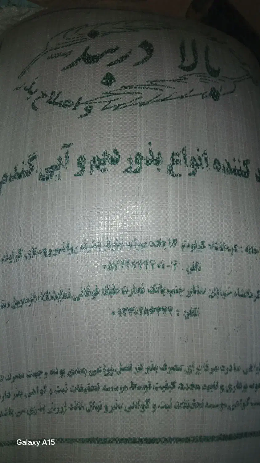 ۲۰۰کیلو گندم اصلاح شده اذر ۲|گل و گیاه طبیعی|کلیائی, |دیوار