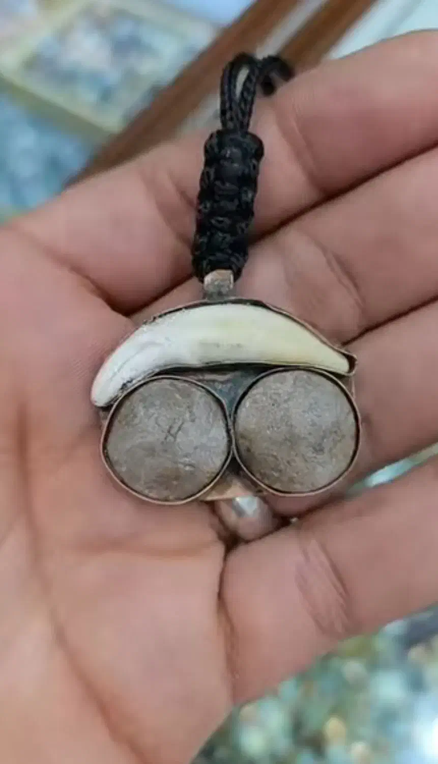 کهنه قدیمی|کلکسیون اشیاء عتیقه|سمنان, |دیوار