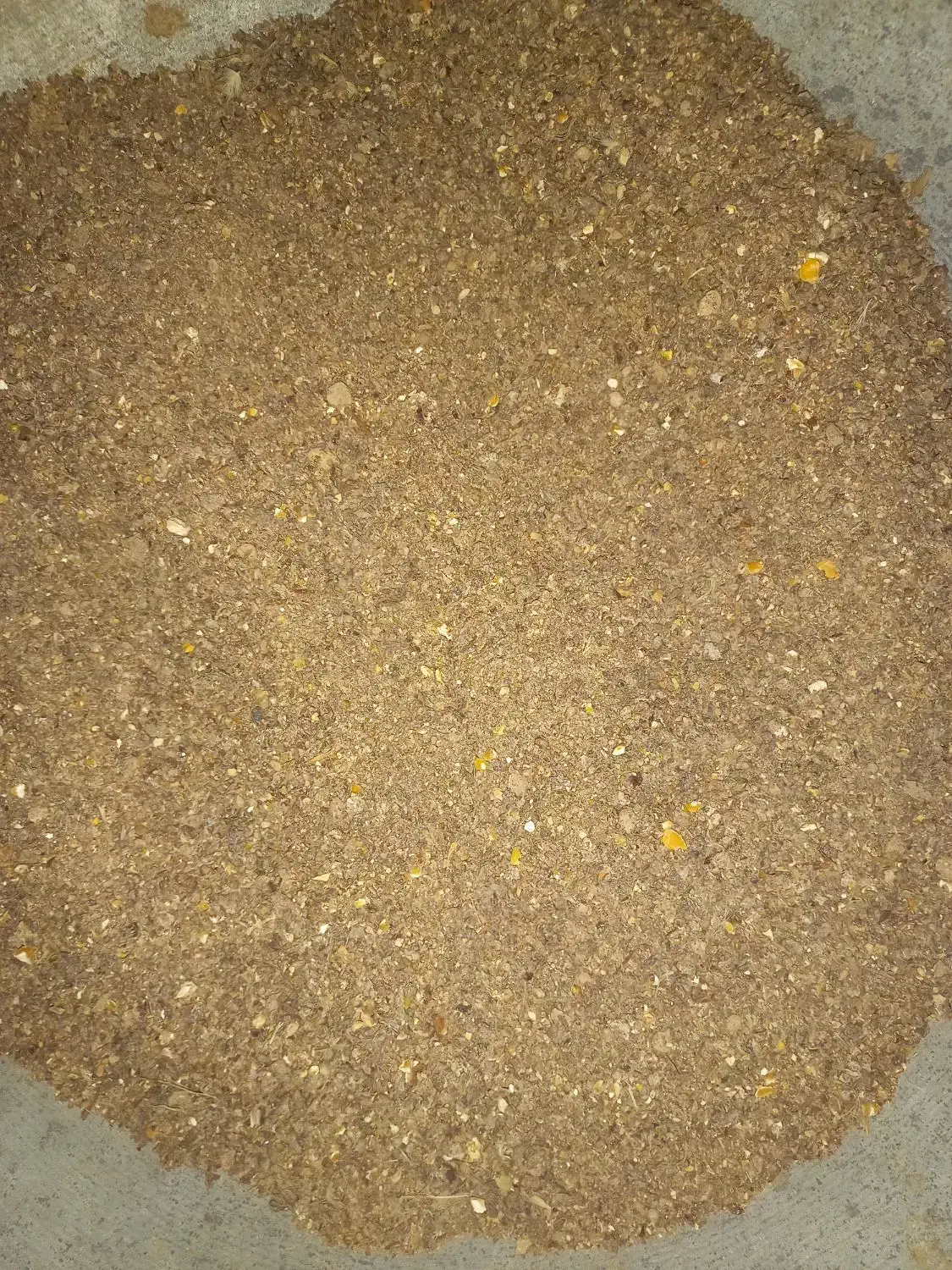 کود مرغ گوشتی|خدمات باغبانی و درختکاری|سبزوار, امیر کبیر|دیوار