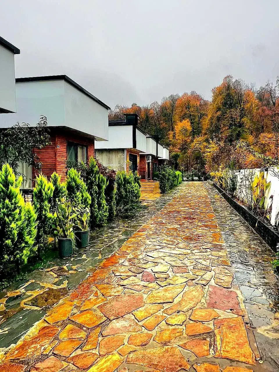 فروش یا تهاتر استثنایی زمین باغشهریهای صدرا|فروش زمین و ملک کلنگی|صدرا-فارس, باغشهر گلبهار صدرا|دیوار